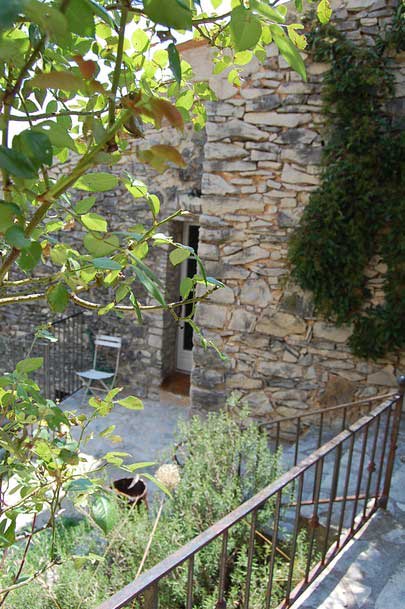 Jardin de la suite l'oliveraie