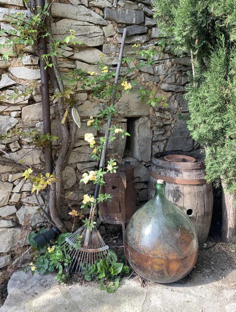 vegetation jas de peguier Provence